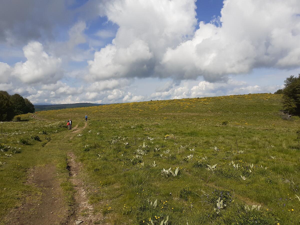 Малешевски Планини